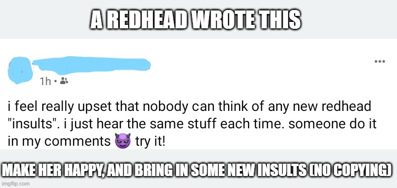 redhead jokes | A REDHEAD WROTE THIS; MAKE HER HAPPY, AND BRING IN SOME NEW INSULTS (NO COPYING) | image tagged in redhead,redheads,gingers,jokes,joke,diy | made w/ Imgflip meme maker