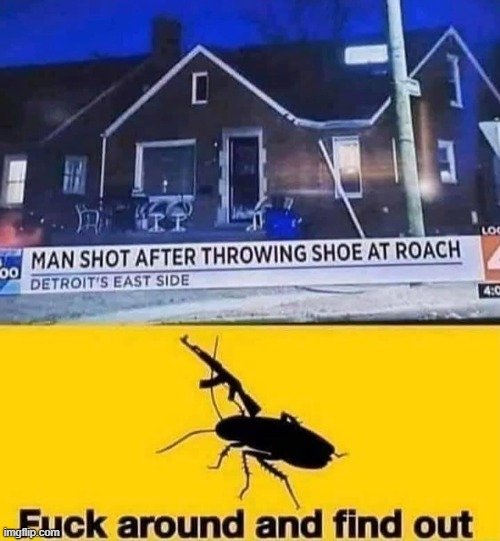 roach | made w/ Imgflip meme maker