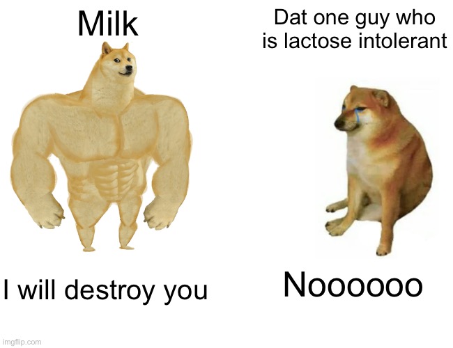 Buff Doge vs. Cheems | Milk; Dat one guy who is lactose intolerant; Noooooo; I will destroy you | image tagged in memes,buff doge vs cheems | made w/ Imgflip meme maker