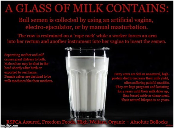 Milk | RSPCA Assured, Freedom Foods, High-Welfare, Organic = Absolute Bollocks | image tagged in vegan,milk,dairy,cheese,cows,farming | made w/ Imgflip meme maker