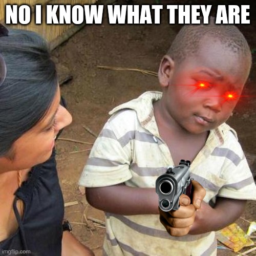 NO I KNOW WHAT THEY ARE | image tagged in memes,third world skeptical kid | made w/ Imgflip meme maker