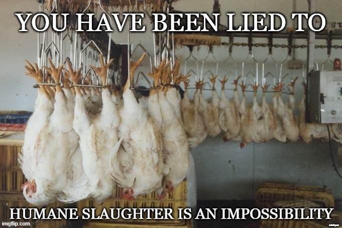 Humane Slaughter is a Lie | minkpen | image tagged in vegan,slaughter,farming,chicken,bacon,steak | made w/ Imgflip meme maker
