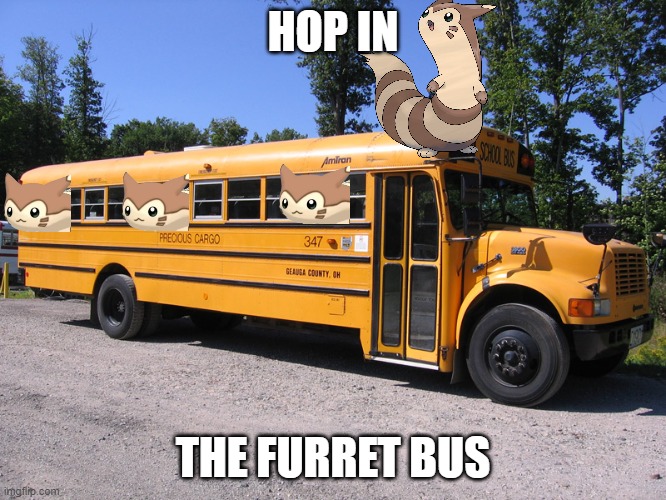 the furret bus | HOP IN THE FURRET BUS | image tagged in school bus,furret | made w/ Imgflip meme maker