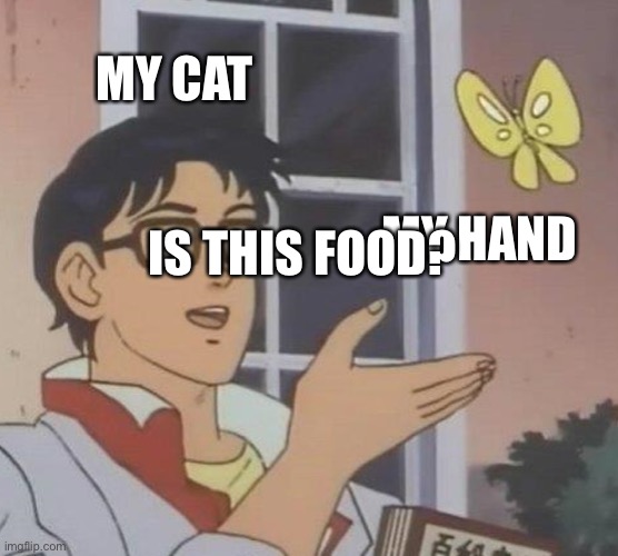 I hate when this happens | MY CAT; MY HAND; IS THIS FOOD? | image tagged in memes,is this a pigeon,cats | made w/ Imgflip meme maker