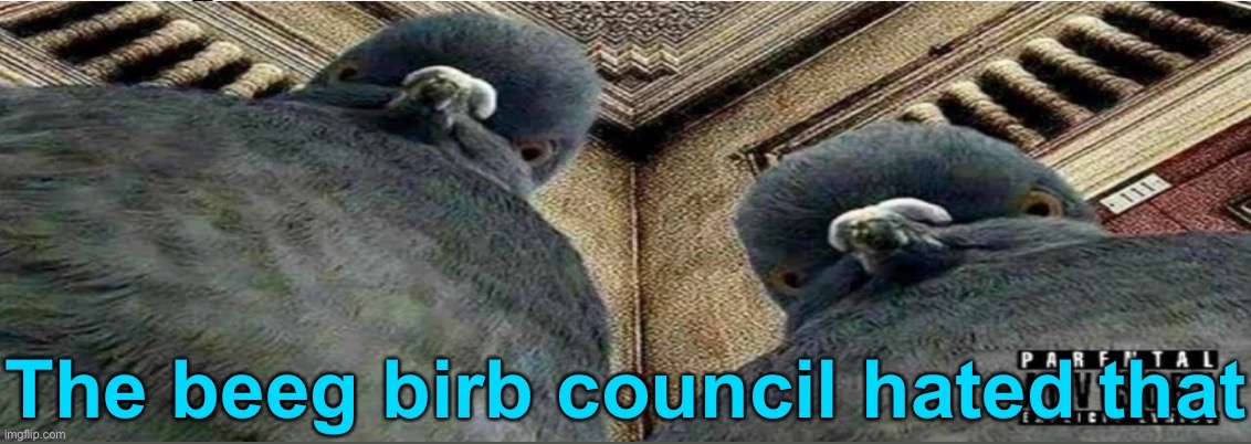 The beeg birb council hated that | image tagged in the beeg birb council hated that | made w/ Imgflip meme maker
