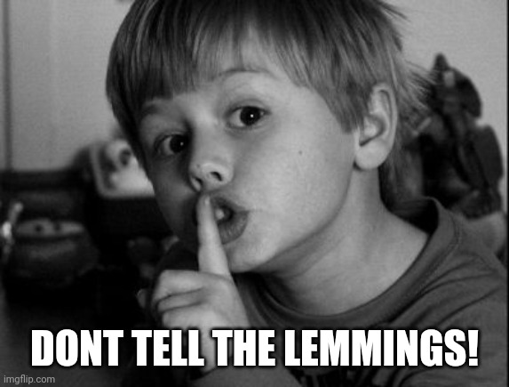 Shhhh | DONT TELL THE LEMMINGS! | image tagged in shhhh | made w/ Imgflip meme maker