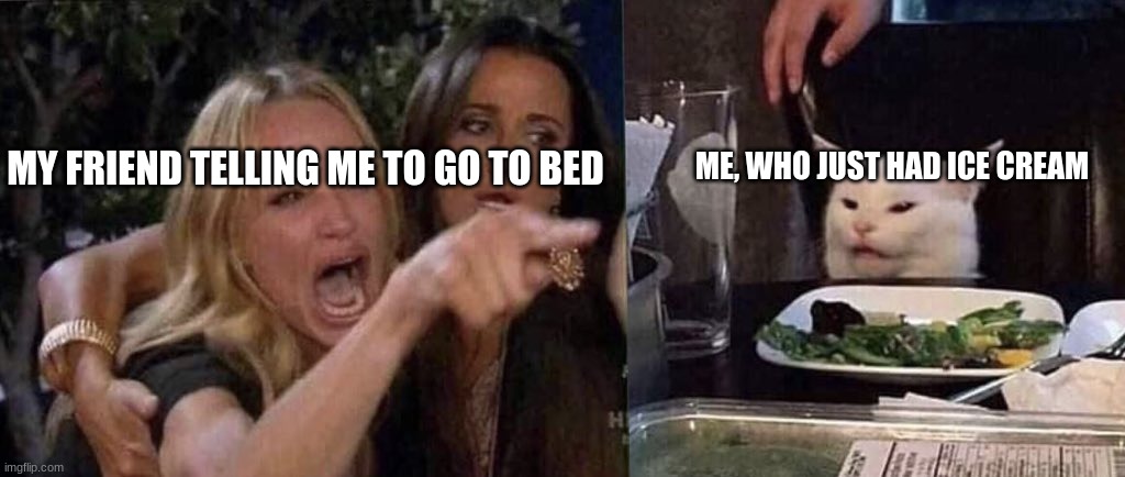 *sticks tongue out* | MY FRIEND TELLING ME TO GO TO BED; ME, WHO JUST HAD ICE CREAM | image tagged in woman yelling at cat | made w/ Imgflip meme maker