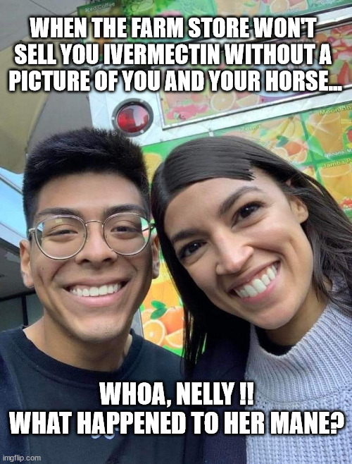 Whoa, Nelly !! |  WHEN THE FARM STORE WON'T 
SELL YOU IVERMECTIN WITHOUT A 
PICTURE OF YOU AND YOUR HORSE... WHOA, NELLY !!
WHAT HAPPENED TO HER MANE? | image tagged in aoc,ivemectin,tractor supply,whoa nelly,mane | made w/ Imgflip meme maker