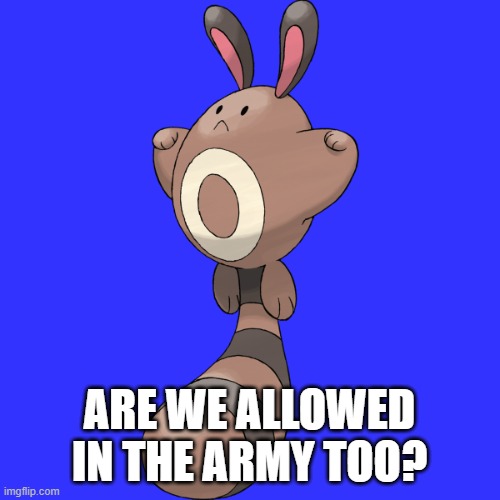 sentret | ARE WE ALLOWED IN THE ARMY TOO? | image tagged in sentret | made w/ Imgflip meme maker