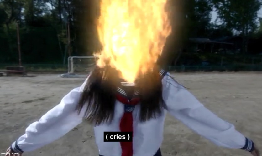 (cries) | made w/ Imgflip meme maker