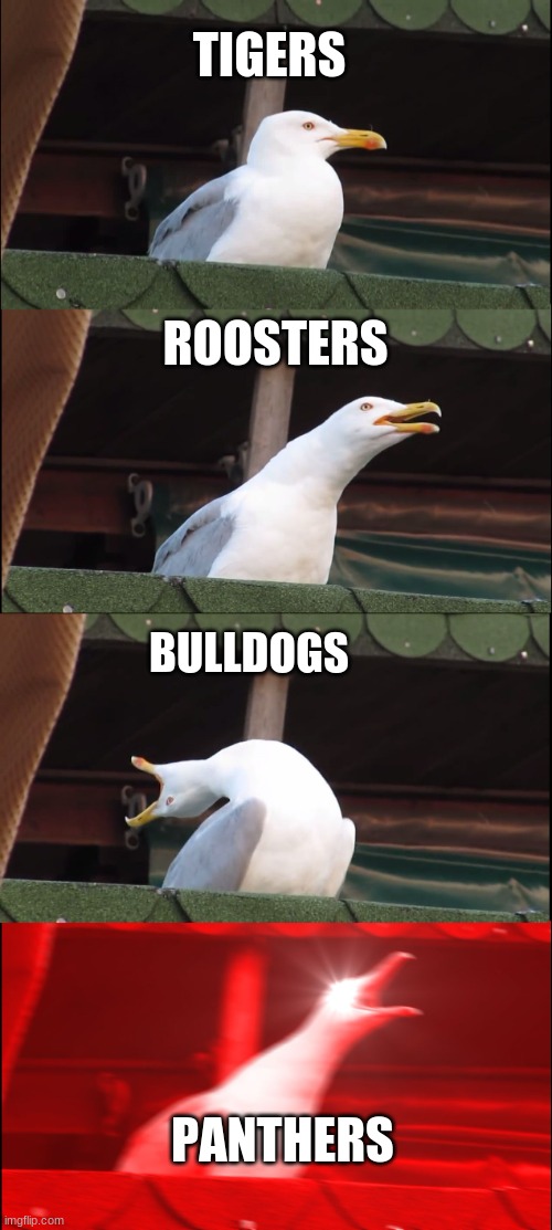 Inhaling Seagull Meme | TIGERS; ROOSTERS; BULLDOGS; PANTHERS | image tagged in memes,inhaling seagull | made w/ Imgflip meme maker