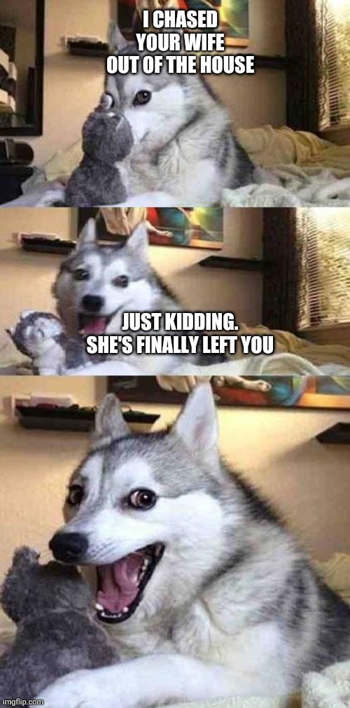 Bad doggy | I CHASED YOUR WIFE OUT OF THE HOUSE; JUST KIDDING. SHE'S FINALLY LEFT YOU | image tagged in dog joke,fun,joke,good dog scary dog | made w/ Imgflip meme maker