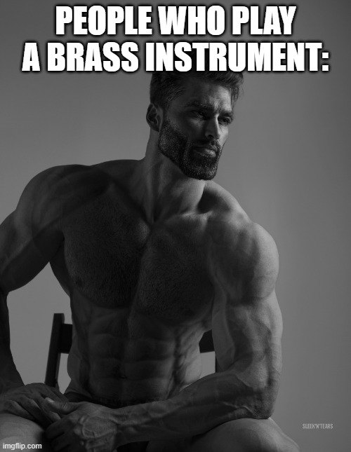Giga Chad | PEOPLE WHO PLAY A BRASS INSTRUMENT: | image tagged in giga chad | made w/ Imgflip meme maker