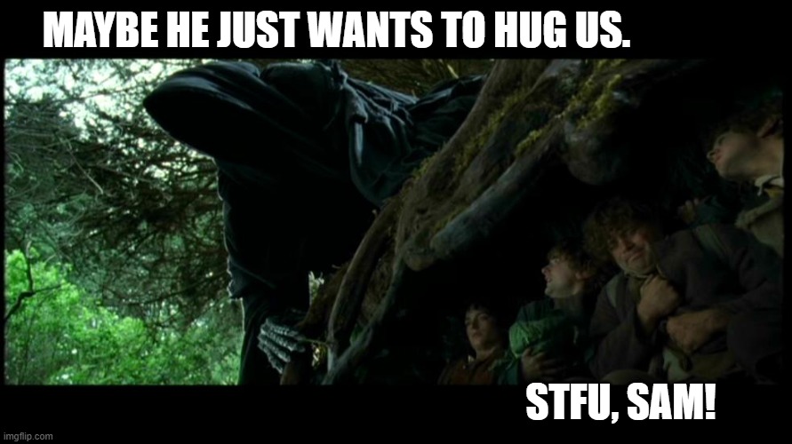 Hobbits hide from nazgul | MAYBE HE JUST WANTS TO HUG US. STFU, SAM! | image tagged in hobbits hide from nazgul | made w/ Imgflip meme maker