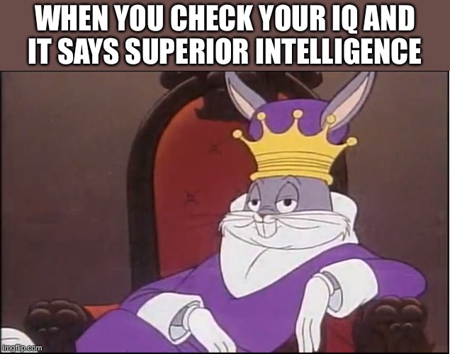 King Buggs Bunny | WHEN YOU CHECK YOUR IQ AND IT SAYS SUPERIOR INTELLIGENCE | image tagged in king buggs bunny | made w/ Imgflip meme maker
