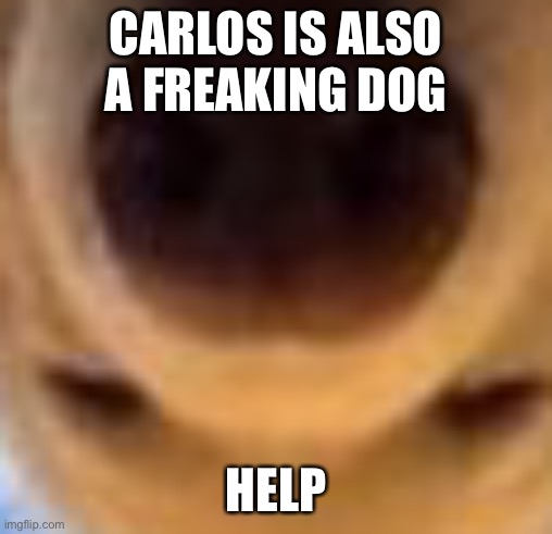 CARLOS IS ALSO A FREAKING DOG; HELP | made w/ Imgflip meme maker