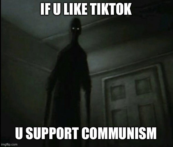 اس سانچے کو استعمال نہ کریں۔ | IF U LIKE TIKTOK U SUPPORT COMMUNISM | made w/ Imgflip meme maker