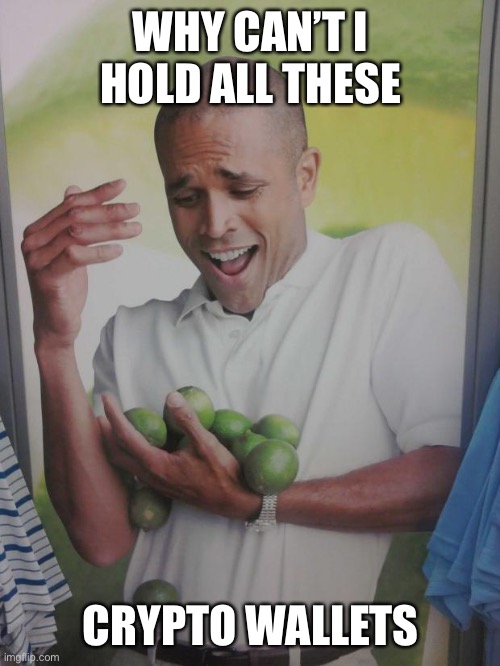 Too many shitcoins… | WHY CAN’T I HOLD ALL THESE; CRYPTO WALLETS | image tagged in memes,why can't i hold all these limes | made w/ Imgflip meme maker
