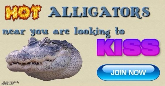 gators | made w/ Imgflip meme maker