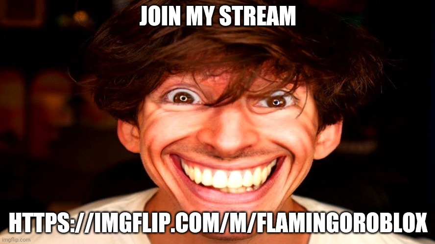 Flamingo | JOIN MY STREAM; HTTPS://IMGFLIP.COM/M/FLAMINGOROBLOX | image tagged in flamingo | made w/ Imgflip meme maker