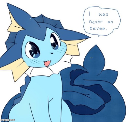 BRUH YOU WERE AN EEVEE! WHERE WERE YOU CAUGHT, IN THE OCEAN? | made w/ Imgflip meme maker