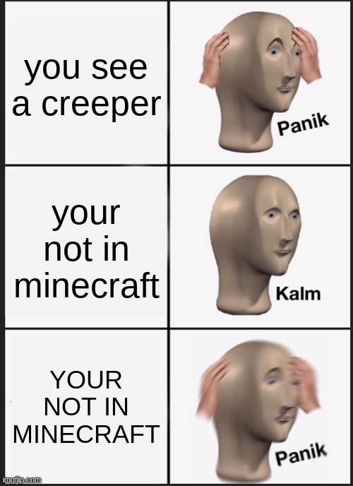 Are creepers real | you see a creeper; your not in minecraft; YOUR NOT IN MINECRAFT | image tagged in memes,panik kalm panik | made w/ Imgflip meme maker