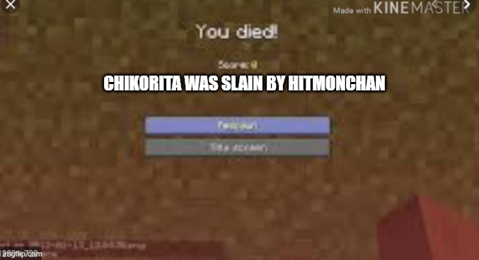 you died | CHIKORITA WAS SLAIN BY HITMONCHAN | image tagged in you died | made w/ Imgflip meme maker