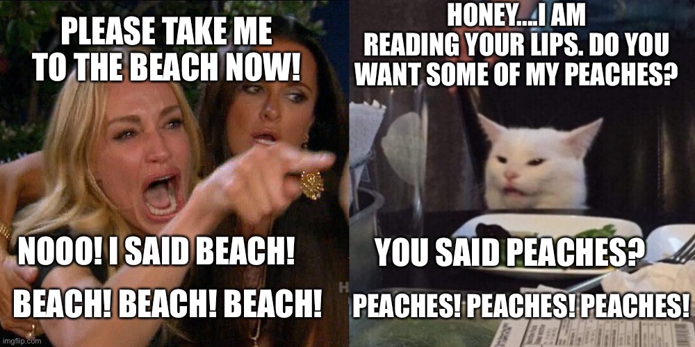 Woman yelling at cat | PLEASE TAKE ME TO THE BEACH NOW! HONEY....I AM READING YOUR LIPS. DO YOU WANT SOME OF MY PEACHES? NOOO! I SAID BEACH! YOU SAID PEACHES? BEACH! BEACH! BEACH! PEACHES! PEACHES! PEACHES! | image tagged in woman yelling at cat,beach,peach,lips,vacation,fruit | made w/ Imgflip meme maker