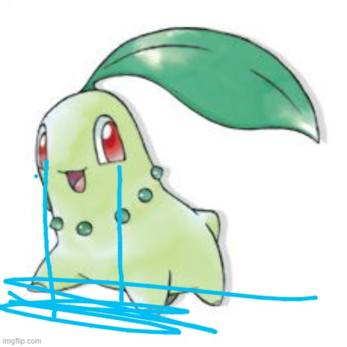 just another crying chikorita | image tagged in chikorita | made w/ Imgflip meme maker