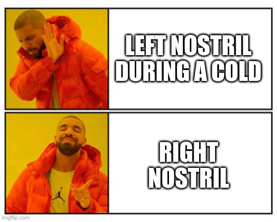 No - Yes | LEFT NOSTRIL DURING A COLD; RIGHT NOSTRIL | image tagged in no - yes | made w/ Imgflip meme maker