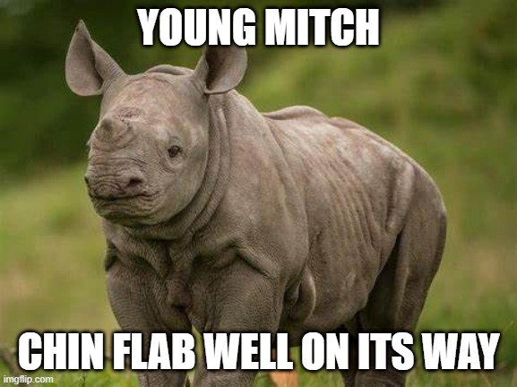 YOUNG MITCH CHIN FLAB WELL ON ITS WAY | made w/ Imgflip meme maker