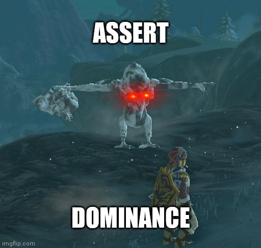 Glitches are Fun | ASSERT; DOMINANCE | image tagged in memes,dank memes,legend of zelda,the legend of zelda breath of the wild | made w/ Imgflip meme maker