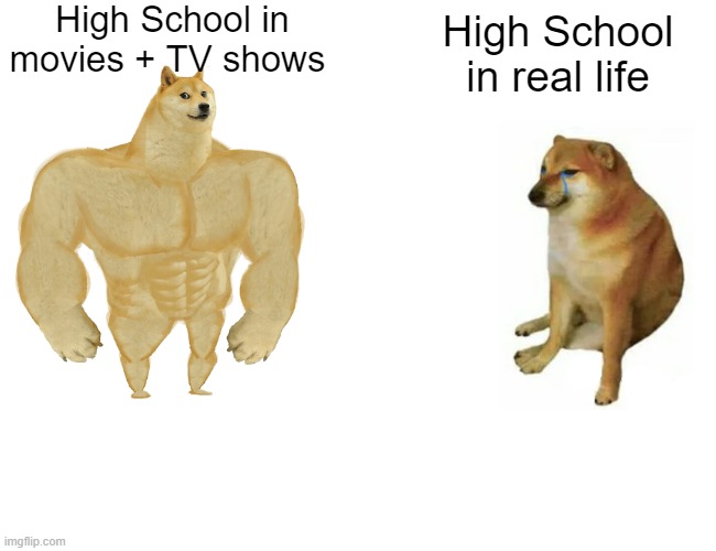 Buff Doge vs. Cheems |  High School in movies + TV shows; High School in real life | image tagged in memes,buff doge vs cheems,high school,school,expectation vs reality | made w/ Imgflip meme maker