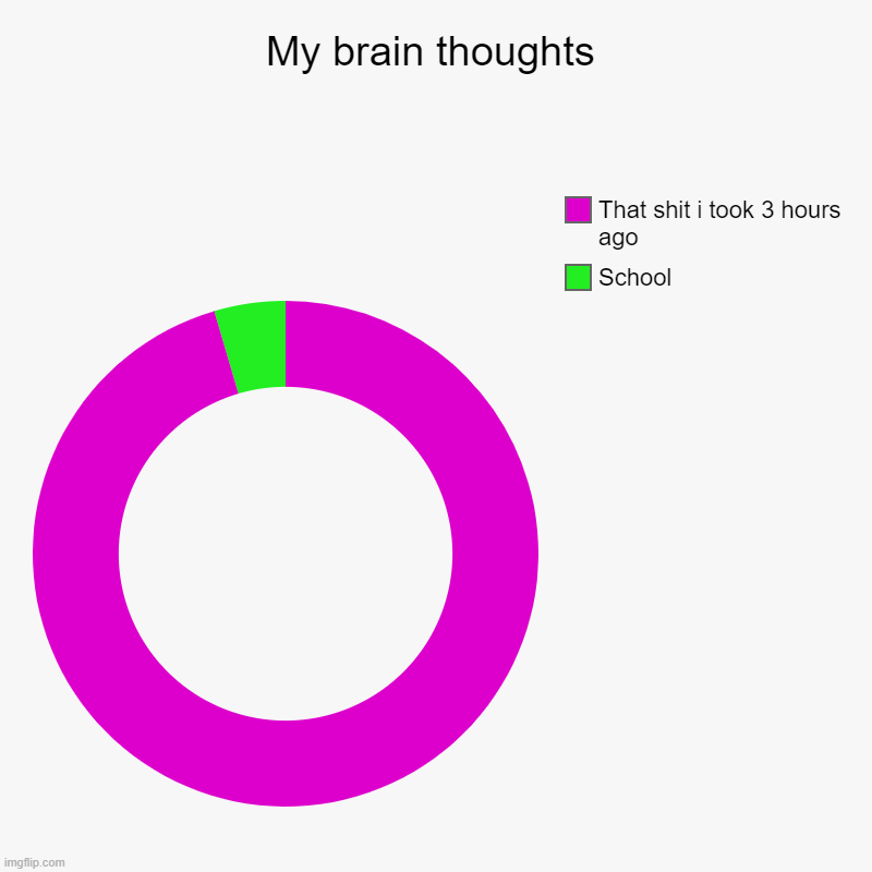 My brain thoughts | School, That shit i took 3 hours ago | image tagged in charts,donut charts | made w/ Imgflip chart maker