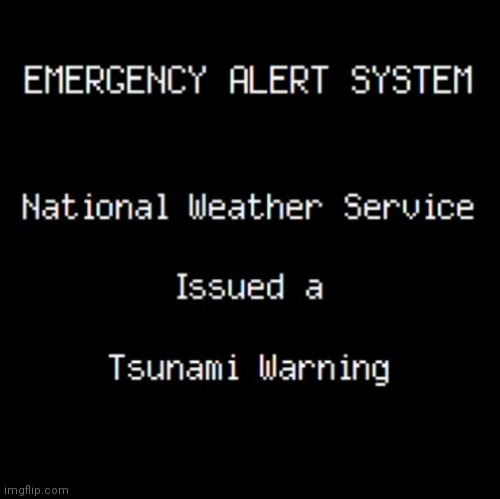 POV: You experienced a 7.5 Earthquake earlier. 15 minutes later, this appears on TV (I probably make too many of these) | image tagged in emergency alert,tsunami | made w/ Imgflip meme maker