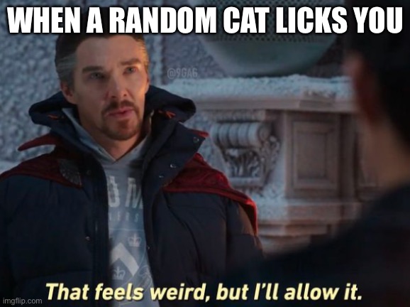 Slurp | WHEN A RANDOM CAT LICKS YOU | image tagged in that feels weird but i'll allow it | made w/ Imgflip meme maker