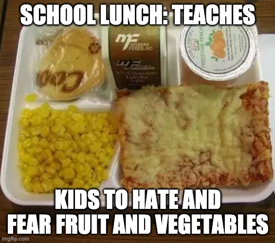 Of course: it's educational! | SCHOOL LUNCH: TEACHES; KIDS TO HATE AND FEAR FRUIT AND VEGETABLES | image tagged in school lunch,evil,vegetables | made w/ Imgflip meme maker
