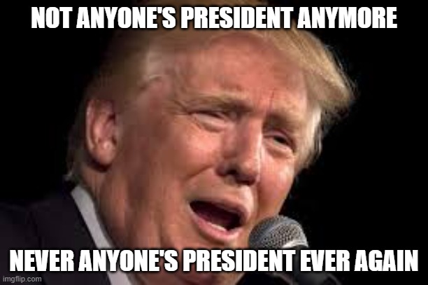 This Meme Triggers Fascists | NOT ANYONE'S PRESIDENT ANYMORE; NEVER ANYONE'S PRESIDENT EVER AGAIN | image tagged in donald trump sad,fascists,triggered,never again,president,fascism | made w/ Imgflip meme maker