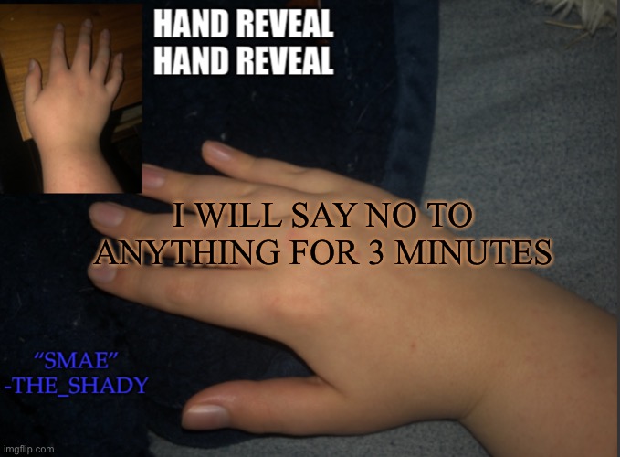 The_shady hand temp | I WILL SAY NO TO ANYTHING FOR 3 MINUTES | image tagged in the_shady hand temp | made w/ Imgflip meme maker