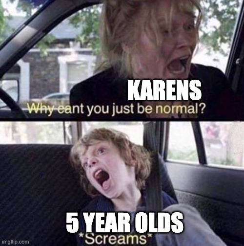 Why Can't You Just Be Normal | KARENS; 5 YEAR OLDS | image tagged in why can't you just be normal | made w/ Imgflip meme maker
