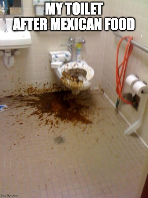 It's so true | MY TOILET AFTER MEXICAN FOOD | image tagged in memes,funny memes,lol | made w/ Imgflip meme maker