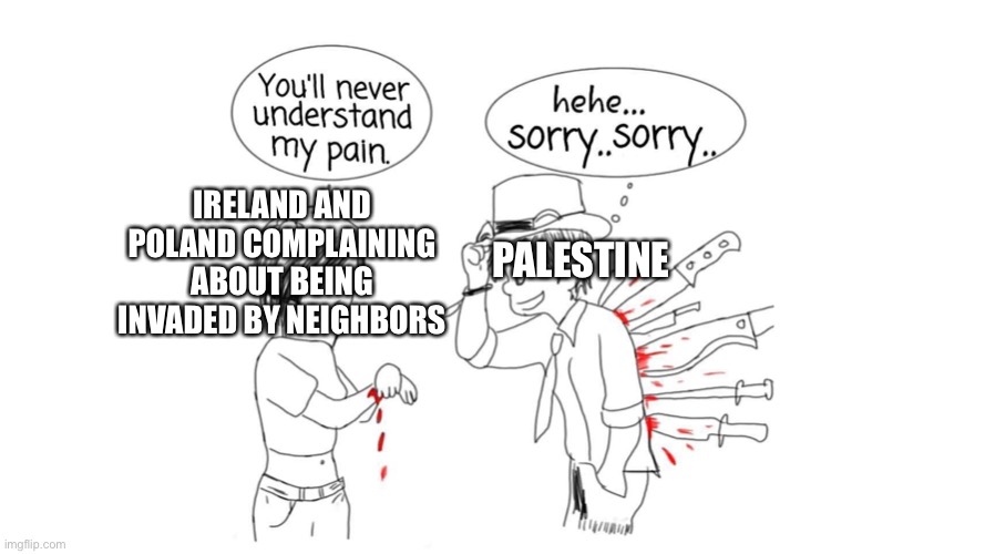 This might be too political but IDC | IRELAND AND POLAND COMPLAINING ABOUT BEING INVADED BY NEIGHBORS; PALESTINE | image tagged in you ll never understand my pain | made w/ Imgflip meme maker