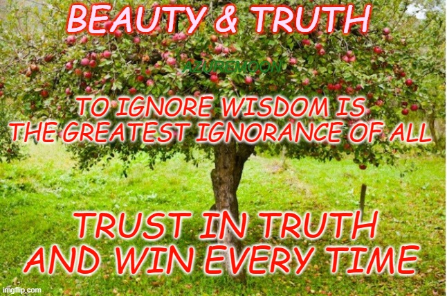DREAM AND REAP WISDOM | BEAUTY & TRUTH; AZUREMOON; TO IGNORE WISDOM IS THE GREATEST IGNORANCE OF ALL; TRUST IN TRUTH; AND WIN EVERY TIME | image tagged in words of wisdom,wisdom,trust,truth,inspire the people | made w/ Imgflip meme maker