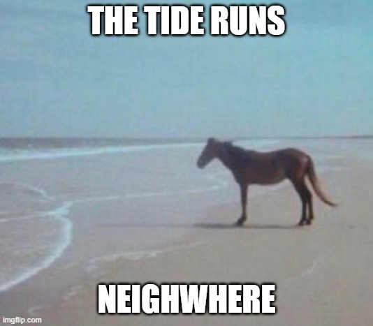 Man Horse Water | THE TIDE RUNS; NEIGHWHERE | image tagged in man horse water | made w/ Imgflip meme maker