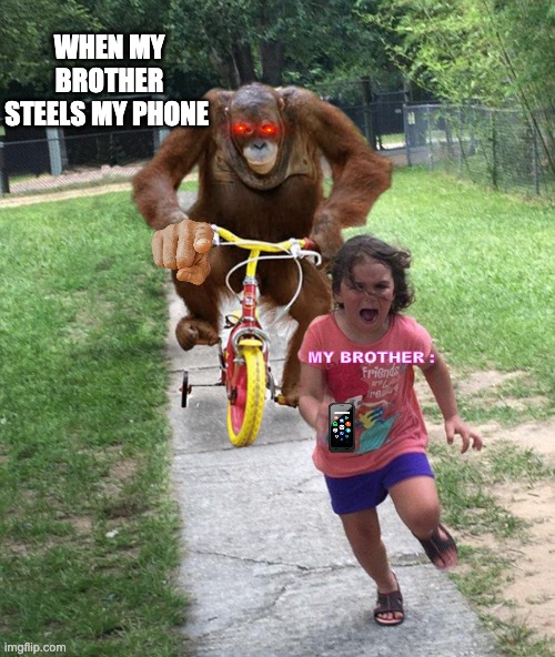 Orangutan chasing girl on a tricycle | WHEN MY BROTHER STEELS MY PHONE; MY BROTHER : | image tagged in orangutan chasing girl on a tricycle | made w/ Imgflip meme maker