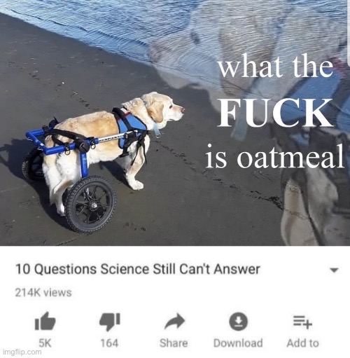 image tagged in what the fuck is oatmeal,10 questions science still can't answer | made w/ Imgflip meme maker