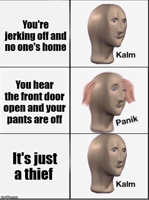 Reverse kalm panik | You're jerking off and no one's home; You hear the front door open and your pants are off; It's just a thief | image tagged in reverse kalm panik,memes | made w/ Imgflip meme maker