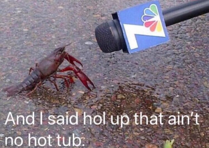 hol up | made w/ Imgflip meme maker