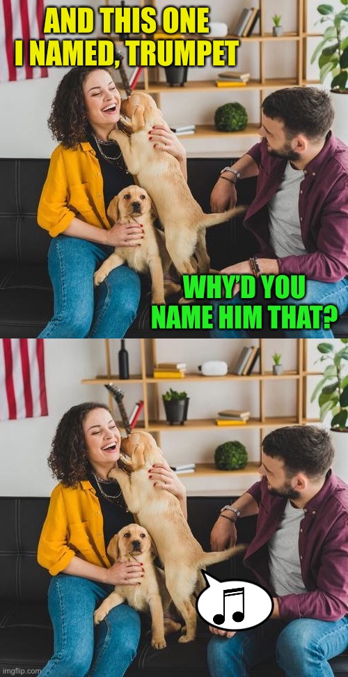 His name stinks | AND THIS ONE I NAMED, TRUMPET; WHY’D YOU NAME HIM THAT? | image tagged in memes,dogs | made w/ Imgflip meme maker