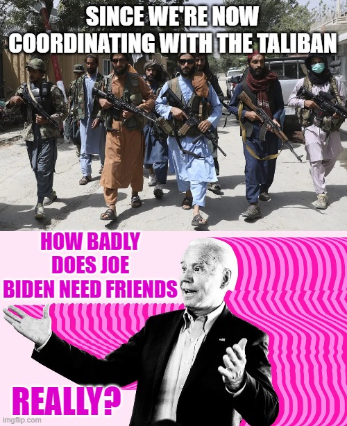 One Does Have To Wonder | SINCE WE'RE NOW COORDINATING WITH THE TALIBAN; HOW BADLY DOES JOE BIDEN NEED FRIENDS; REALLY? | image tagged in memes,politics,if only you knew how bad things really are,joe biden,i need it,friends | made w/ Imgflip meme maker